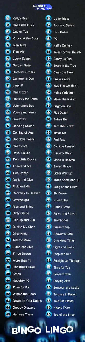 How-to-play-bingo-lingo