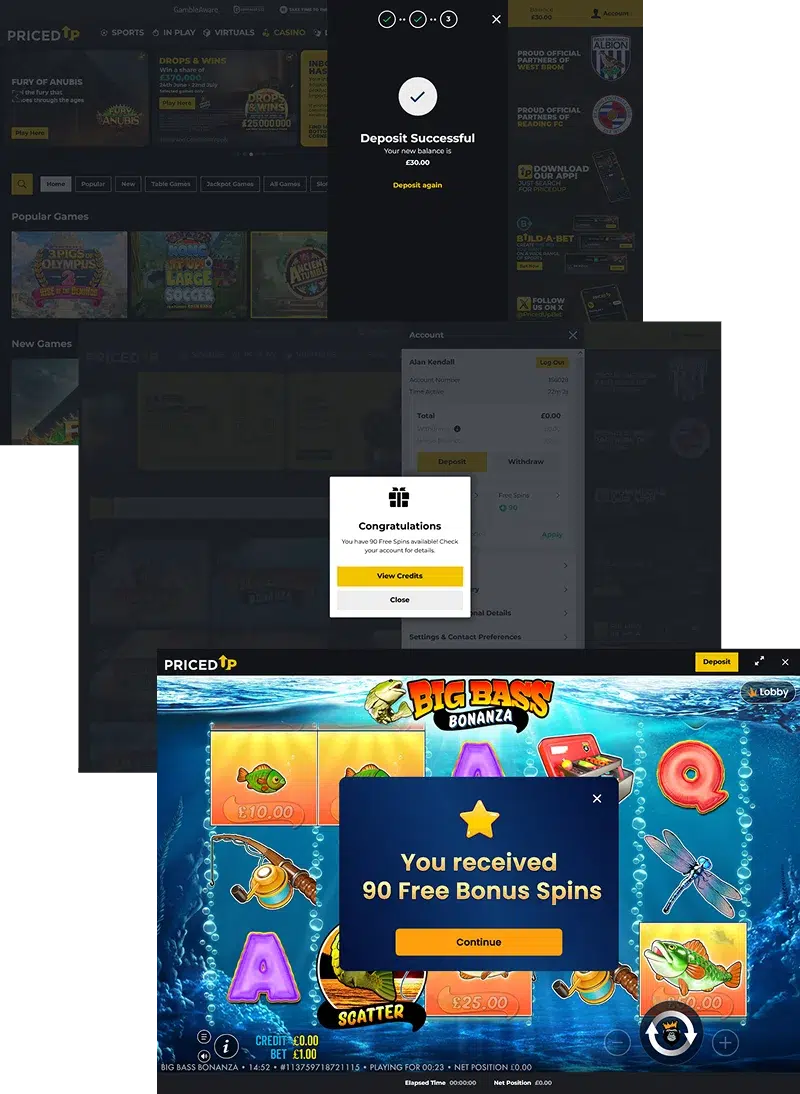 How to get a bonus on PricedUp casino